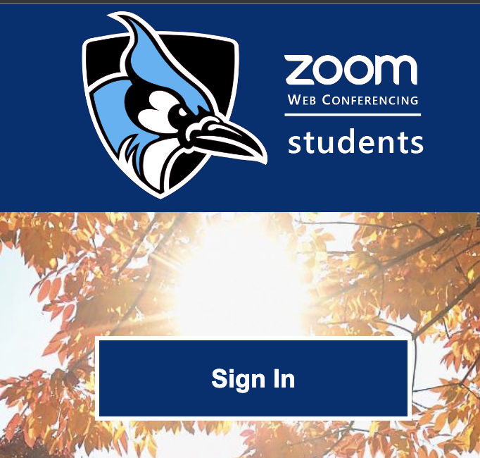 sign-in-zoom-students.png